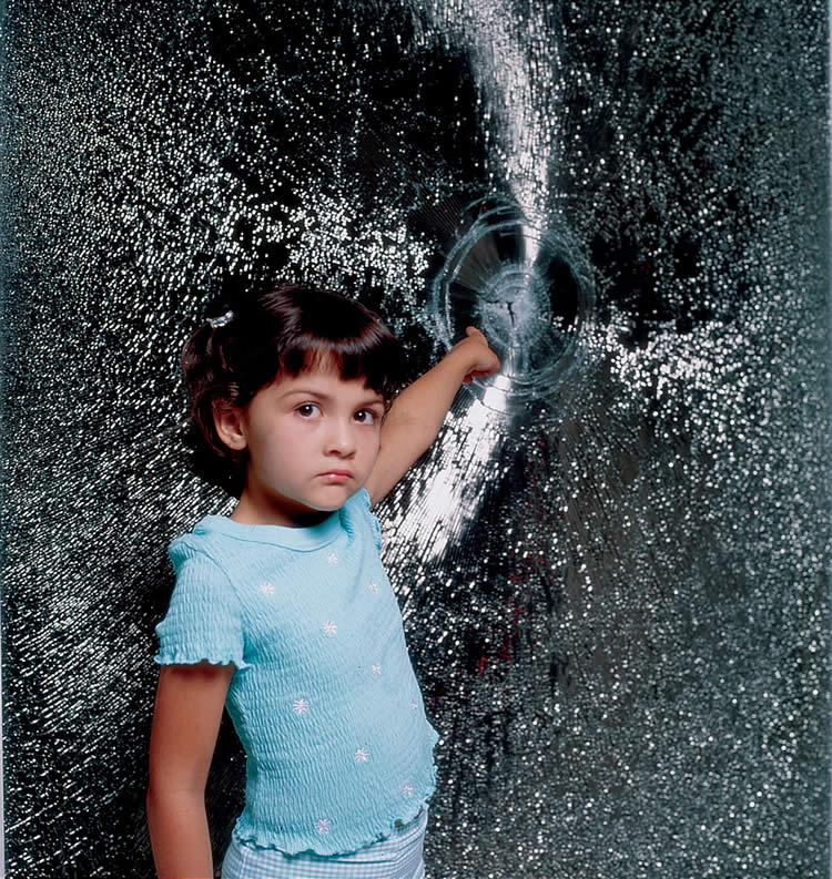 Classic Sun Control Security Glass