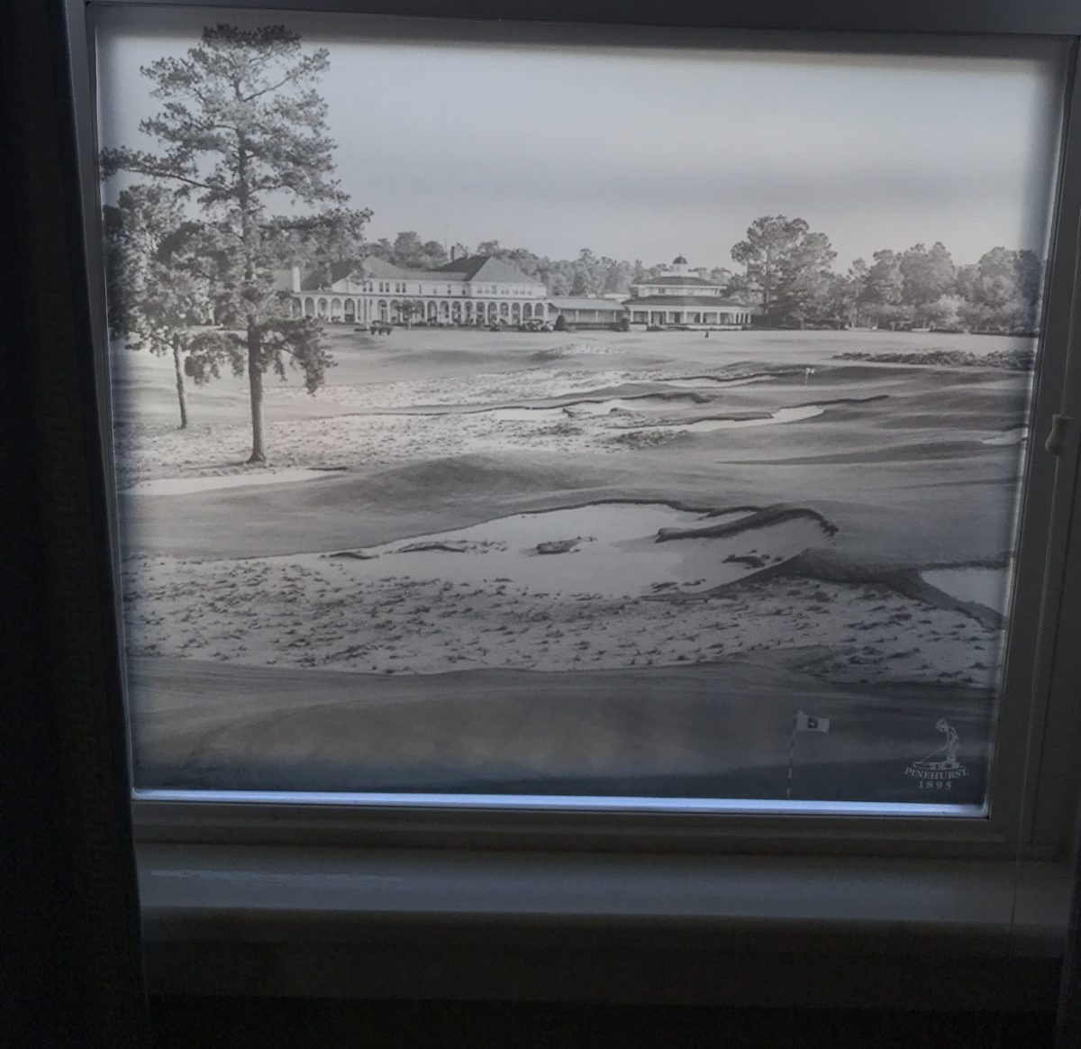 Pinehurst Frosted Glass